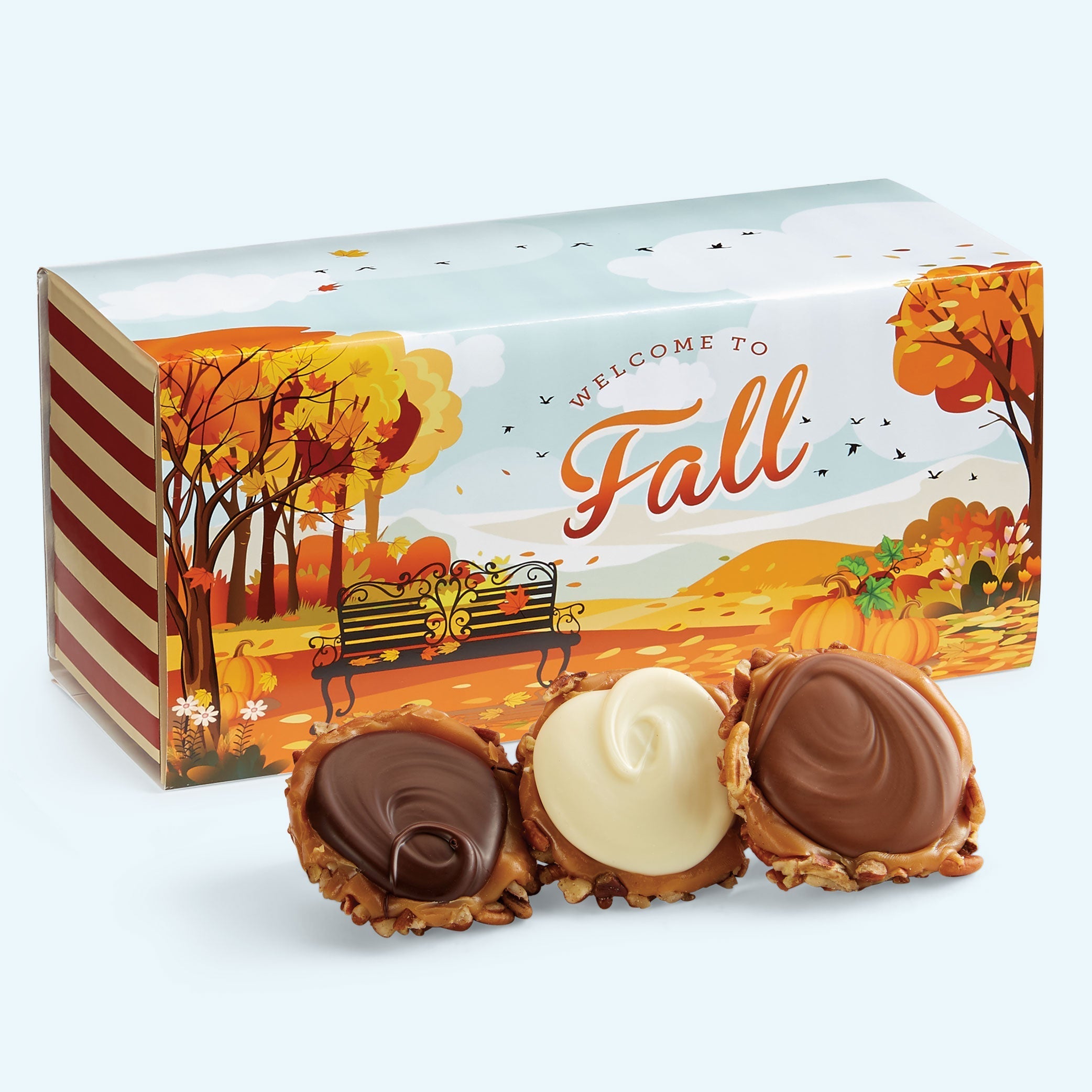 Fall Gift Boxes 24pc – Savannah’s Candy Kitchen