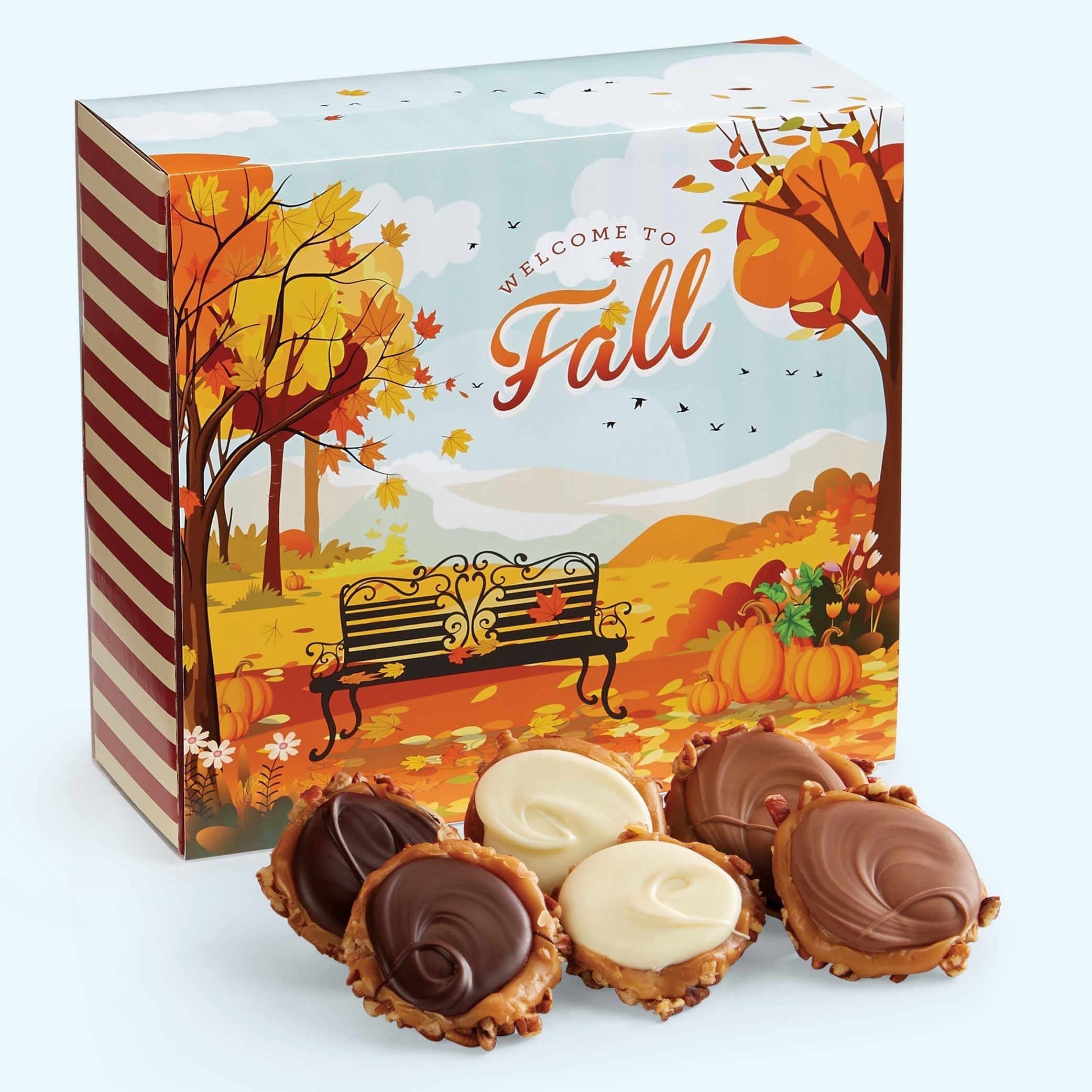 24 Piece Fall Boxes – Savannah’s Candy Kitchen